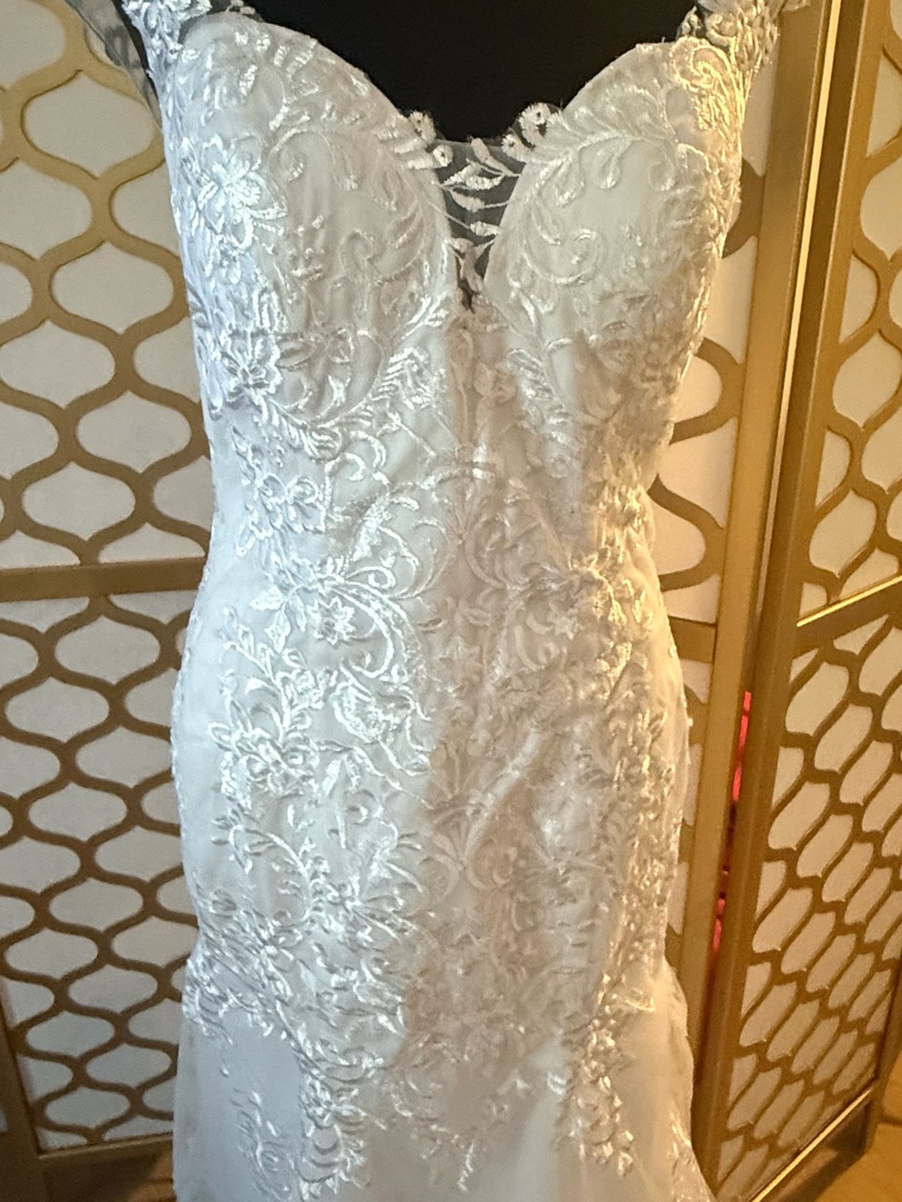 Ivory Lace Appliqué Bridal Dress - Elegant Fit-and-Flare Gown. Color is white